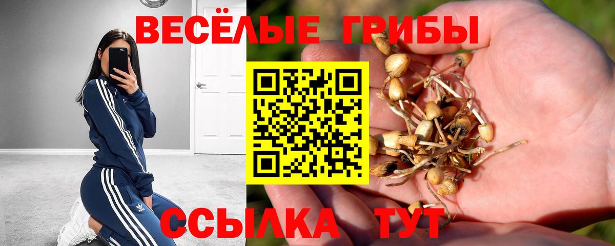 Галлюциногенные грибы Cubensis Приморско-Ахтарск